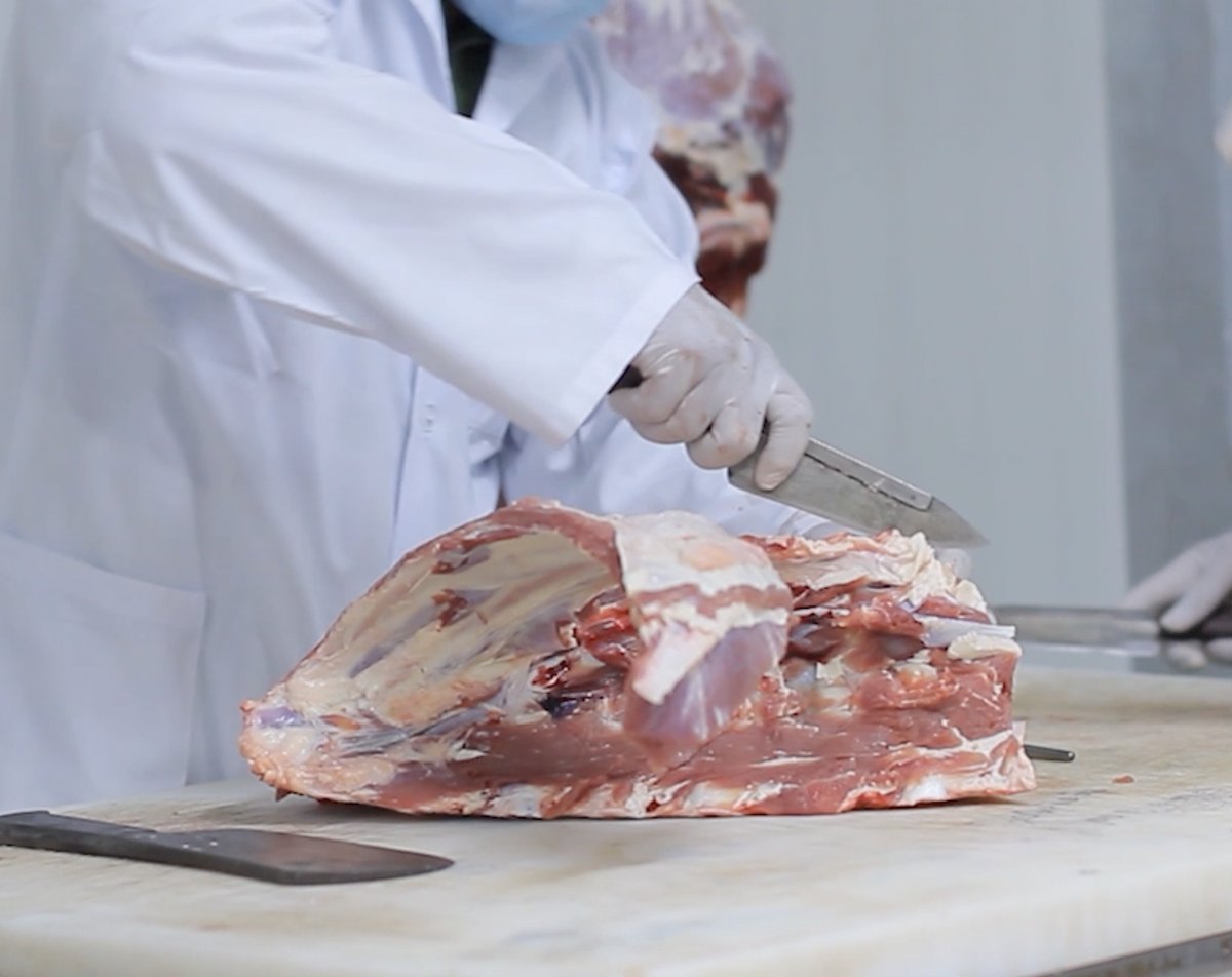 Expert cutting