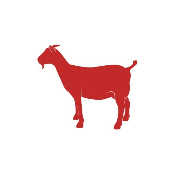 WhatsApp Image 2024-03-27 at 5.32.34 PM